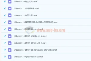 抖音网红英语名师 雪梨初级英语语法课 71讲带讲义