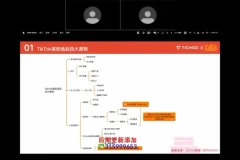 TikTok零粉带货速成：短视频营销全攻略