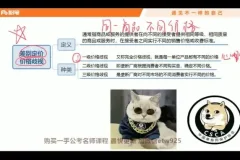 2025国考会计金题精炼班：言语、判断、申论全攻略