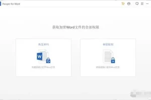 Passper密码恢复和解锁工具【可解excel+word+rar+zip+ppt】