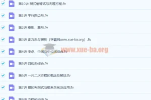 徐德直 初二数学暑期目标班10讲