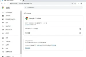 谷歌 Chrome浏览器优化版 v119.0.6045.124 官方正式版-绿色优化版(支持WIN7）