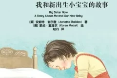 儿童绘本故事《我当大姐姐了》PPT