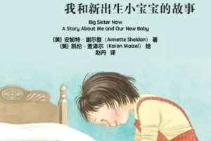 儿童绘本故事《我当大姐姐了》PPT