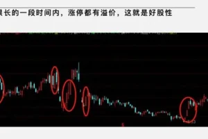 大柚子笔记：大柚子盘面深度学柚儿园专属解读2024年4月