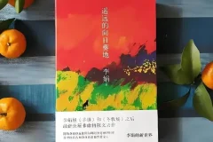 有声小说《遥远的向日葵地》 李娟作品 20集全