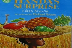 儿童绘本故事《汉娜的惊喜》PPT