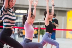 最新keep运动健身教程会员+付费课程合集