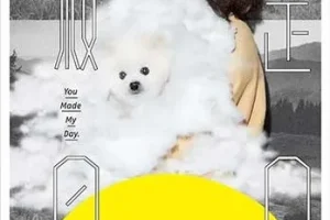 《徐佳莹 是日救星 演唱会 LaLa Hsu You Made My Day Live (2017) 》[1080P蓝光原盘/ISO/32.04GB]