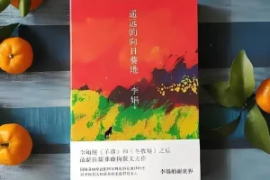 有声小说《遥远的向日葵地》 李娟作品 20集全