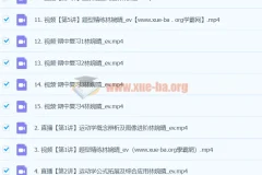 2024高中物理 高一林婉晴物理 秋季班