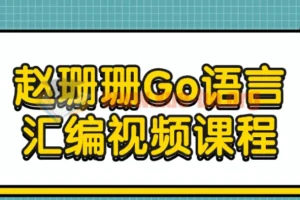 赵珊珊Go语言汇编视频课程