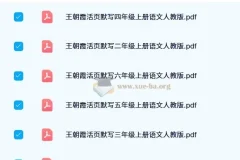 【2024秋】王朝霞活页默写语文