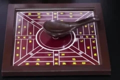 三年级下科学课同步学习指南：植物与动物的生命奥秘