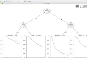 R语言医学数据分析实战：从入门到精通