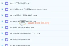 初中数学 李琪 2020年初二数学秋季班 北师大版