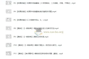 高中数学 数学辞典 知识点击破 轻松搞定数学难题