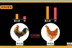 乐乐课堂生物动画大百科：6-15岁孩子的趣味学习指南