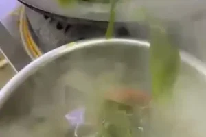 凉拌菜与热卤制作全攻略：从基础到精通的实战课程