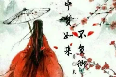 古风言情《不负如来不负卿》 117集全