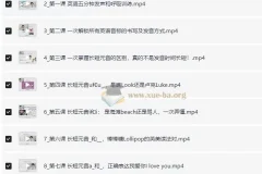 拉美天后CAMILA《40天零基础英语发音》