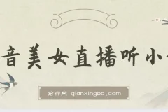 抖音美女直播听小说，每日轻松变现3500+，多重防违规操作，保姆教程