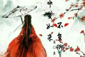 古风言情《不负如来不负卿》 117集全