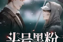 有声小说《头号黑粉》 纯爱 都市多人有声剧 252集完结