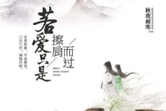 有声小说《若爱只是擦肩而过》 43集全