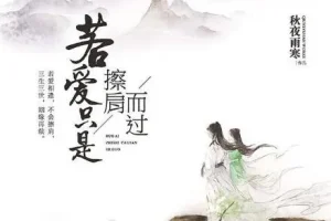 有声小说《若爱只是擦肩而过》 43集全