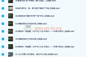 王芳 好芳法 攻克汉语语法难关