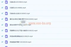 抖音网红名师 孙志立英语抖音课程 58讲