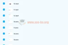 剑桥商务英语 BEC商务英语 初级+中级+高级视频教程全套