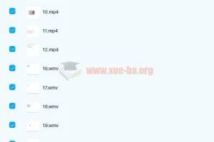 剑桥商务英语 BEC商务英语 初级+中级+高级视频教程全套