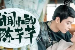 有声小说《传闻中的陈芊芊》 影视同名有声书210集完结