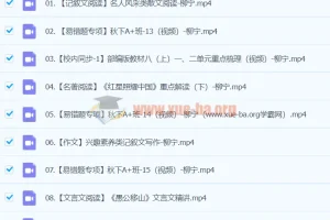 2024初二语文 柳宁语文 A+秋季班 下