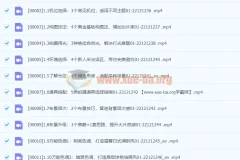 Sir电影私塾-手机美食摄影课百万美食大V亲授·全网最全美食拍摄攻略·美食大片制霸朋友圈