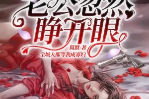 《新婚夜，植物人老公忽然睁开眼》多人有声剧 主播：点众听书 1236集完[MP3]