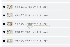 过目不忘小学英语单词海报【课程】【视频，音频，图片】