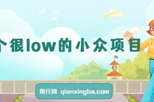 一个很low的小众项目，但利润非常巨大，闷声发大财的首选副业，月入过万