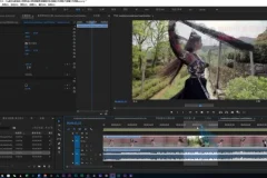 零基础到高手：PR剪辑全攻略2020