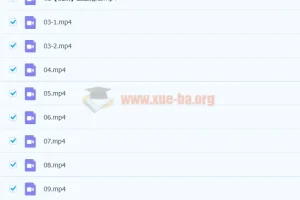 2023高三高考物理杨会英 暑假a+班 完结