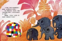 儿童绘本故事《花格子大象艾玛》PPT（10册）