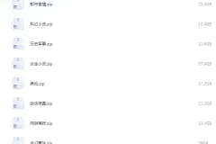 《笔趣阁全站网络小说大合集 31w本》[txt]