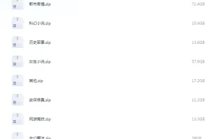 《笔趣阁全站网络小说大合集 31w本》[txt]