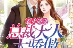 有声小说《惹火娇妻：总裁大人太骄傲》 温暖柔光江小白播讲749集