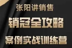 张阳讲销售实战案例训练营：销冠养成全攻略