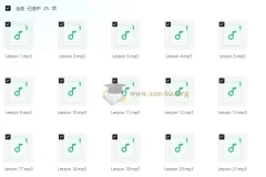 英语口语 Speak English Like an American 像美国人一样说话