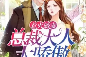 有声小说《惹火娇妻：总裁大人太骄傲》 温暖柔光江小白播讲749集