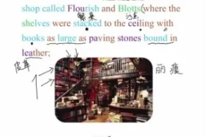 哈利波特精读课：用原著打造沉浸式英语环境（附文化解析）